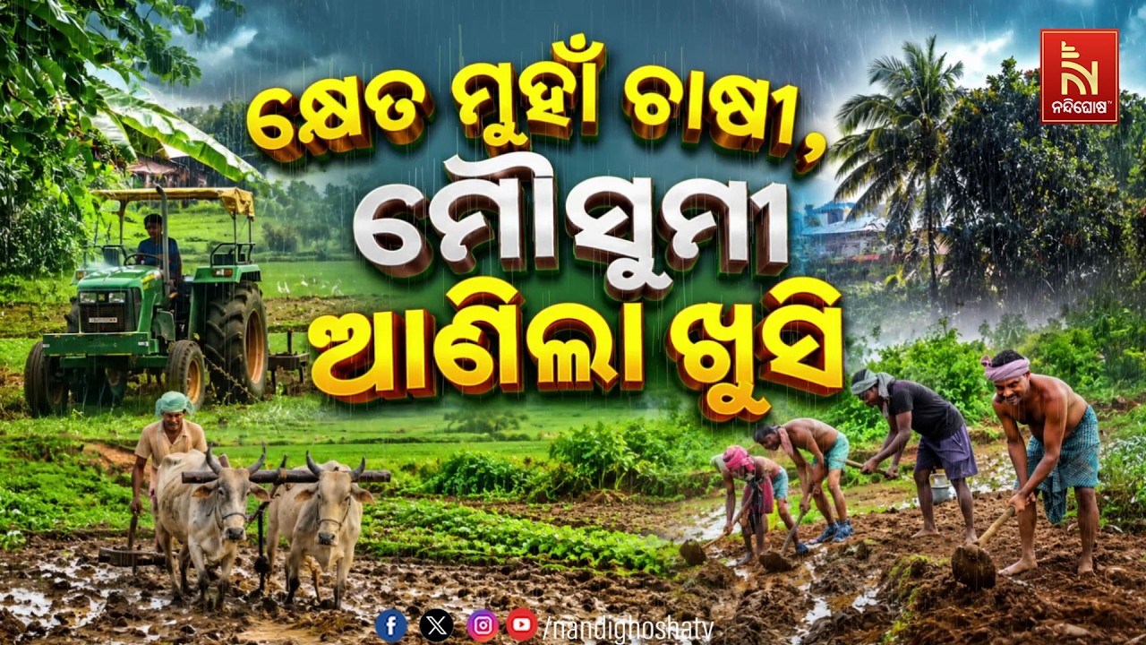🔴Live | କ୍ଷେତ ମୁହାଁ ଚାଷୀ, ମୌସୁମୀ ଆଣିଲା ଖୁସି