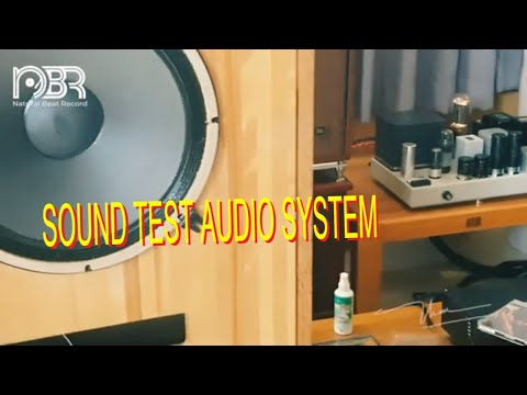 Sound Test Audio System - Hi End Audiophile's Choice - Natural Beat Record