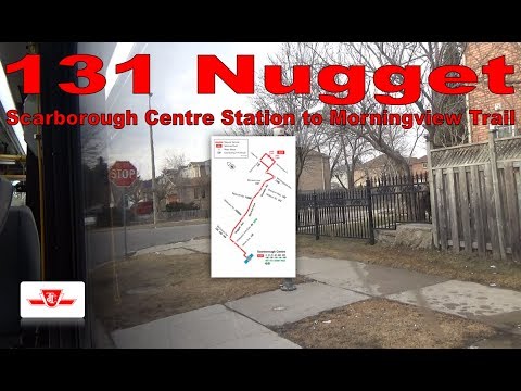 131 Nugget  - TTC 2018 Nova Bus LFS HEV 3446 (Scarborough Centre Station to Morningview Trail)
