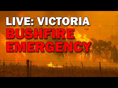 LIVE: Bushfire Emergency: Alexandra, Victoria - 9 January, 2026
