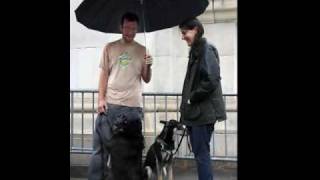 Bruce's Candle Light Vigil - NYC