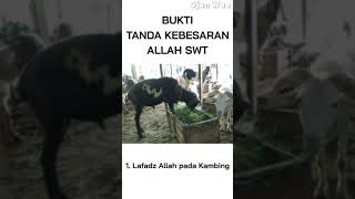 Download lagu BUKTI TANDA KEBESARAN ALLAH SWT | Fenomena Lafadz Allah SWT#shorts mp3