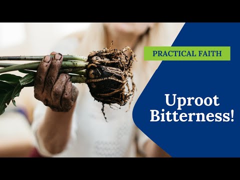The Roots of Bitterness - Recognize, Confess, Uproot! Find Healing for Your Heart!