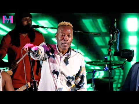 DISIP DE GAZZMAN BAY BOUTÈY LA POU BIRTHDAY GAZZY NEW YORK - ASE LIVE @ MOONLIGHT 8/23/2025