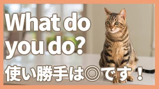 【ぽんぐり22】What do you do？使い勝手◎
