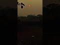দিনশেষে সূর্য নিজের ঘরে BHROM Bhromofficial Chill BHROMoffic