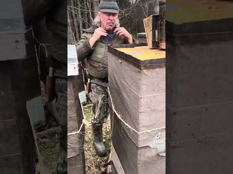 French Hill Apiaries Late March 2024