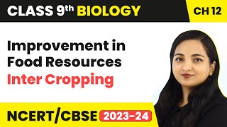 Cropping Patterns - Inter Cropping | Improvement in Food Resources | Class 9 Biology Chapter 12
