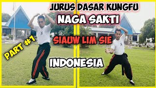 Download lagu PART #1 BASIC MOVES OF THE MIGHTY DRAGON KUNGFU SIAUW LIM SIE INDONESIA II KUNGFU MOVES mp3