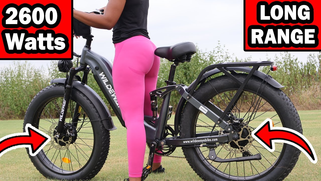 Wildeway Dual Motor Review