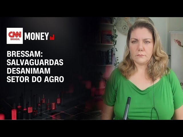 Salvaguardas em acordo Mercosul-UE limitam interesses brasileiros, afirma especialista | MONEY NEWS