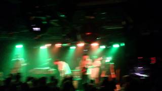 Head Up High - Go Back To The Zoo - @Ekko