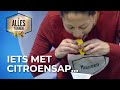 KEIHARD PERSEN! | De Alleskunner VIPS #S02E06