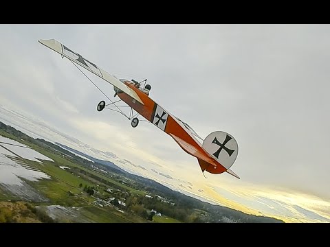 Bruce W. - Fokker E.I Eindecker, 2021.11.20