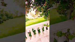 Download lagu The beauty of existence by Hamoud al Qahtani mp3