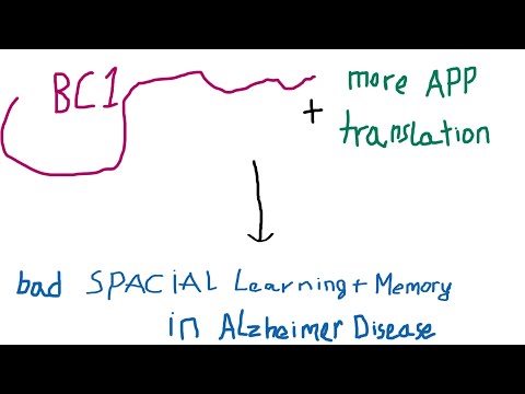lncRNA B1 role in Alzheimer's Disease