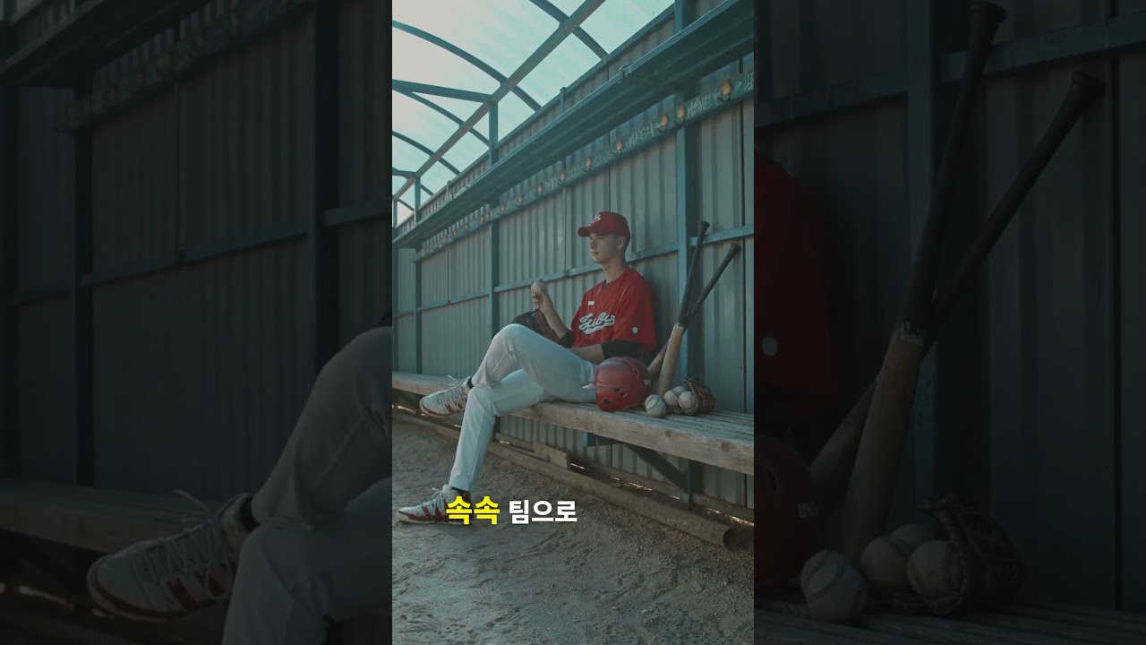 야구팬들 지금 이거 봐야 함