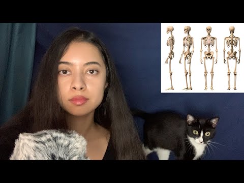 ASMR facts about the human body (𝐟𝐭 𝐟𝐥𝐞𝐱𝐢𝐬𝐩𝐨𝐭)