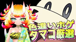 【ポケモンSV】色違いホゲータを産み落とす配信