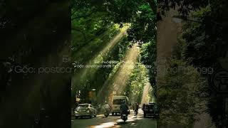 Cover art for em muốn