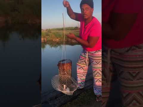 Crabbing in Louisiana