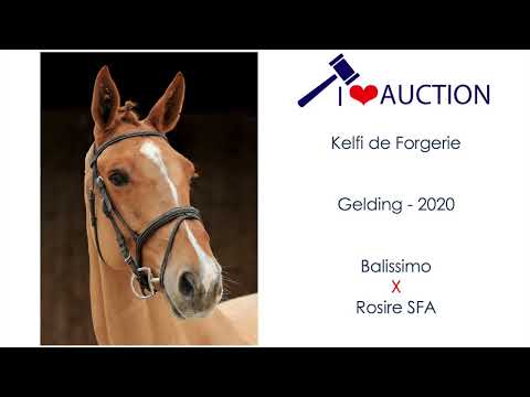 Kelfi de Forgerie Movements