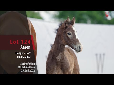 OnLive-Auktion Lot 124 Aaron Hengst v. Aviador - Cornado I