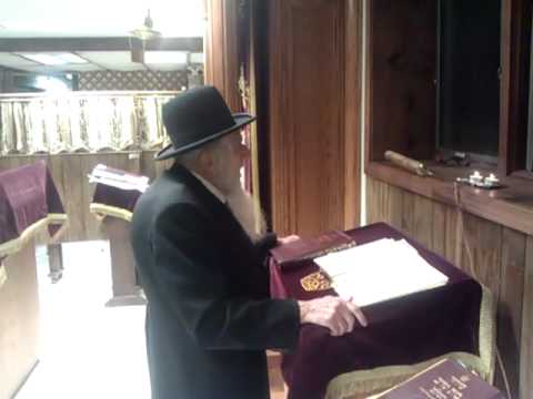 Rabbi Fishbain counting Sefirah on Lag B'Omer