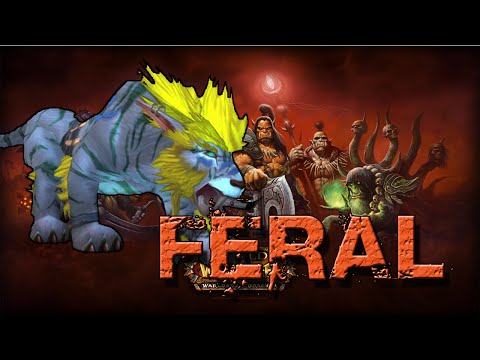 Feral Druid - WoD Beta