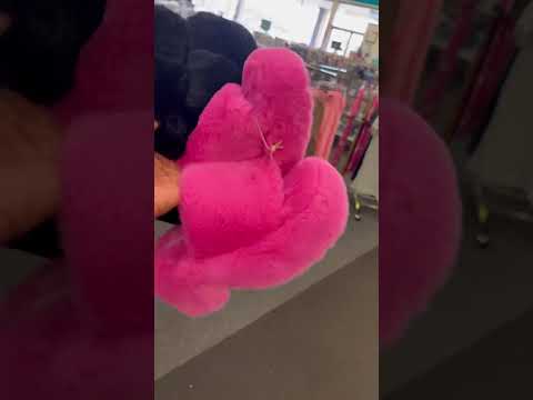 WALKING THROUGH CITI TRENDS CARRYING HEA BAGS 🛍️🛍️🛍️ HE GOTTA PAUSE CUZ PEACH 🍑 BADDDDDD