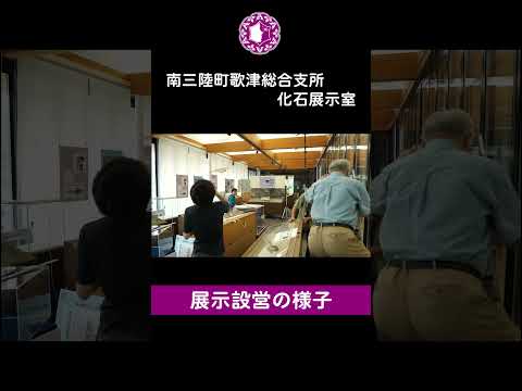 人文社会学科 【展示設営の様子】南三陸の魚竜化石と大地の生い立ち #化石 #dinosaur #exbition #museum #仙台#南三陸  #恐竜