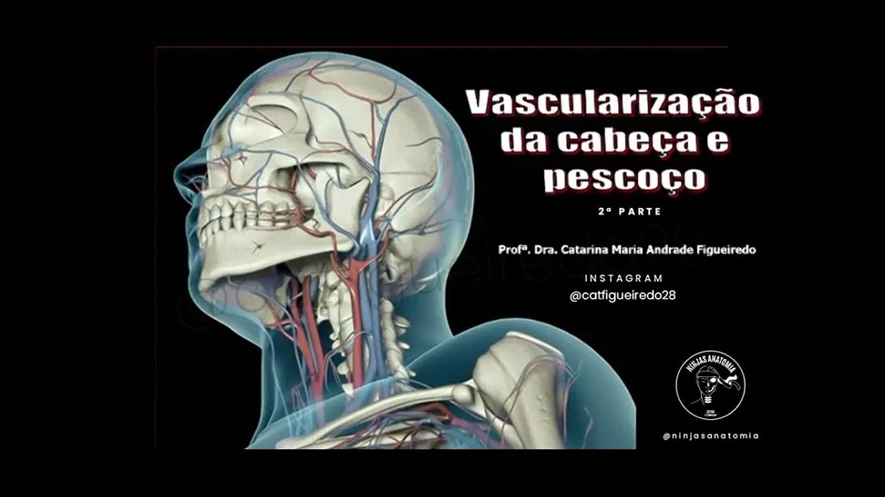 Vascularização cabeça e pescoço - 2ª Parte