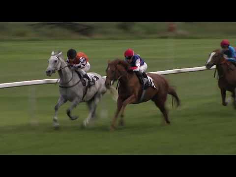 8. dostih - Cena společnosti Vladimír Marek s.r.o. - dostihy Karlovy Vary 5. 7. 2020