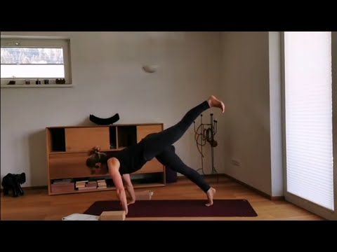 Balance@Home Core Mobility - The next Level