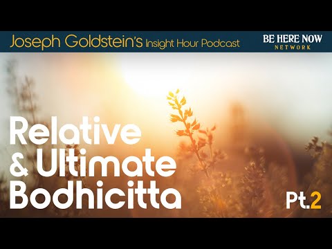 Relative and Ultimate Bodhicitta Part 2 Joseph Goldstein – Insight Hour Podcast Ep. 180