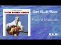 Sister Rosetta Tharpe -  Precious Memories