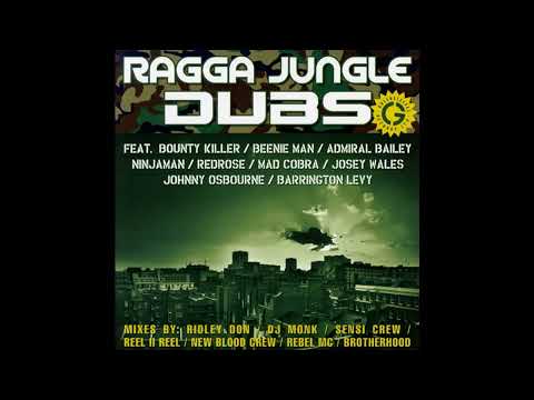 Various - Ragga Jungle Anthems Vol. 3: Ragga Jungle Dubs (2007)