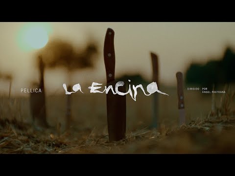 Pellica "La Encina"