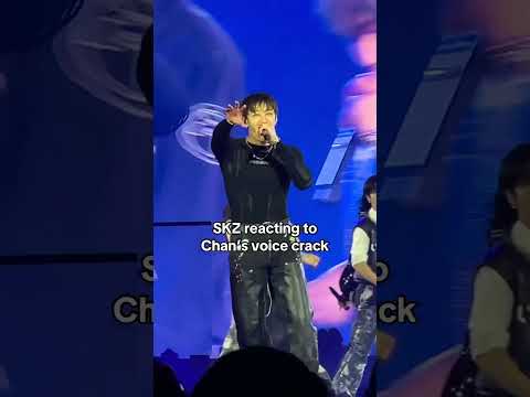 Stray Kids reacting to Bang Chan’s voice crack 🥹😭 #shorts #kpop #straykids #dominatetour #bangchan