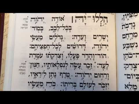 Tehillim psalm 111