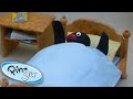 Go To Sleep Pingu Pingu Official 1 Hour Cartoons For Kids