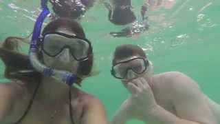 Swim & Snorkel with dolphins in Roatan, Honduras