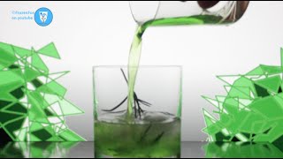 Cocktail Idea : Creep in the Bush