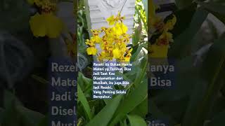 Download lagu Fortune is not just visible material things. When you are saved from a disaster, that is also for... mp3