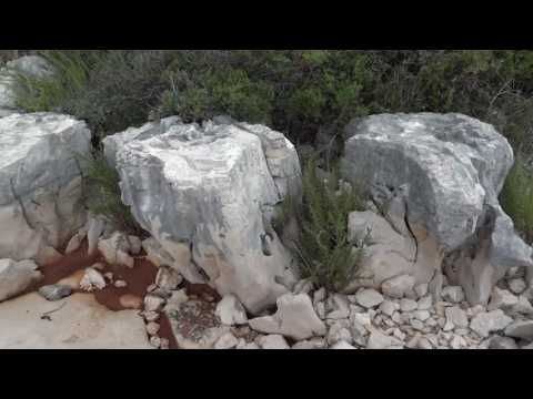 EKOTRIP # JADRANSKO MORJE ¤ (20)16_AVG_06