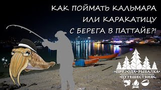 Рыбалка на пхукете самостоятельно с берега