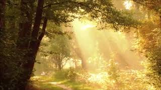 Loving You is Sweeter than Ever  The Four Tops