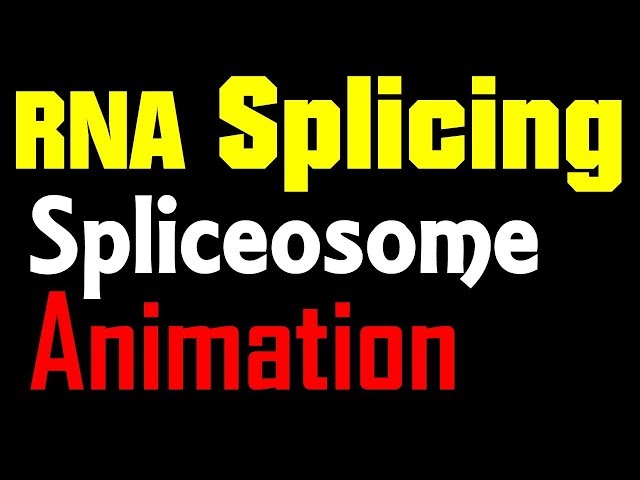 Video Pronunciation of splicing in English