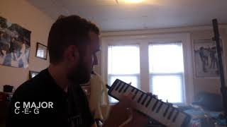 the king of carrot flowers part 1 on melodica