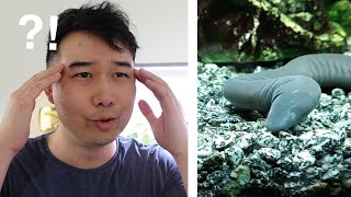 this Fishkeeper is CRAZY | Fish Tank Review 268